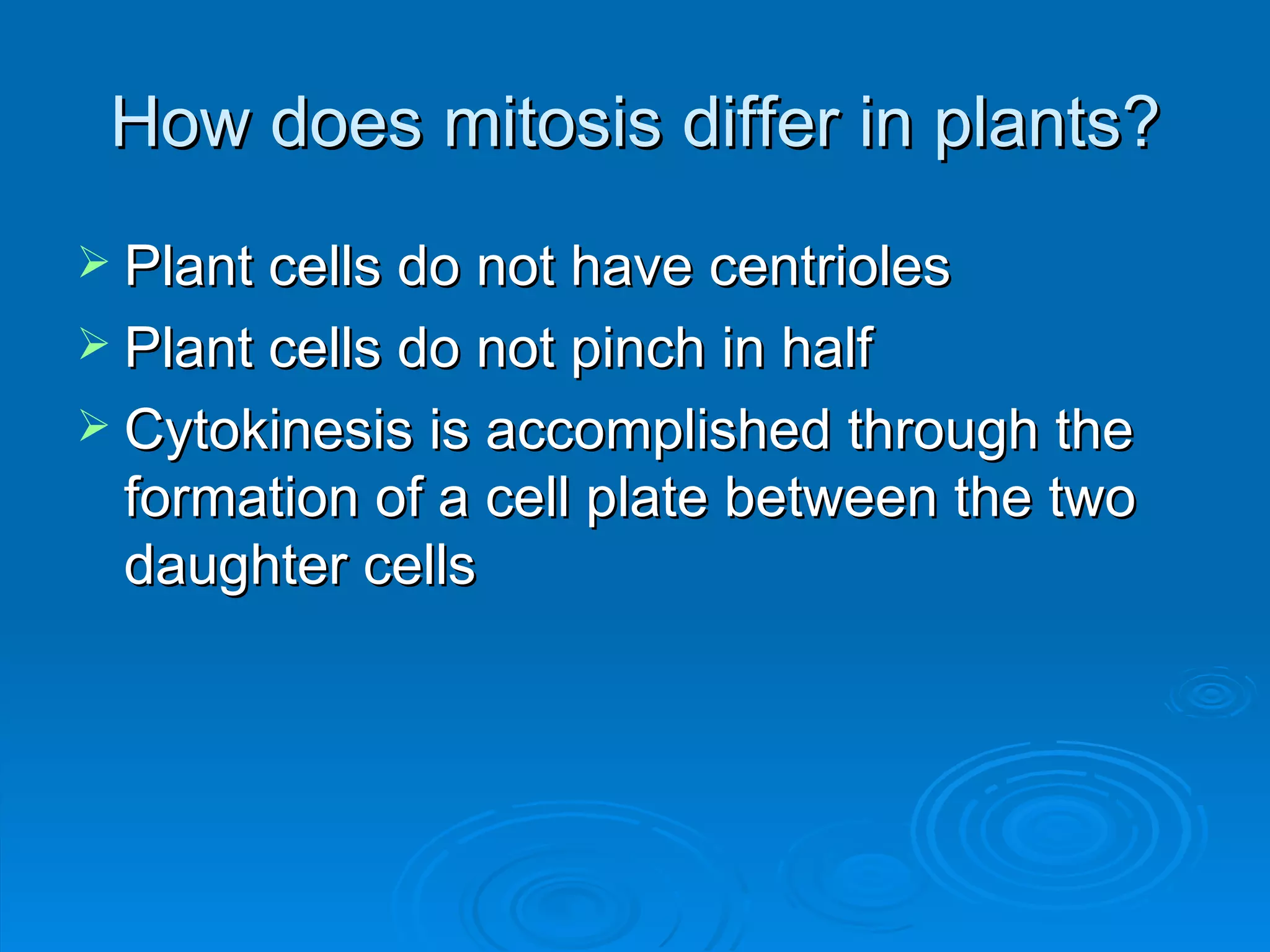 How does mitosis differ in plants?
 Plant cells do not have centrioles
 Plant cells do not pinch in half
 Cytokinesis is accomplished through the
  formation of a cell plate between the two
  daughter cells
 