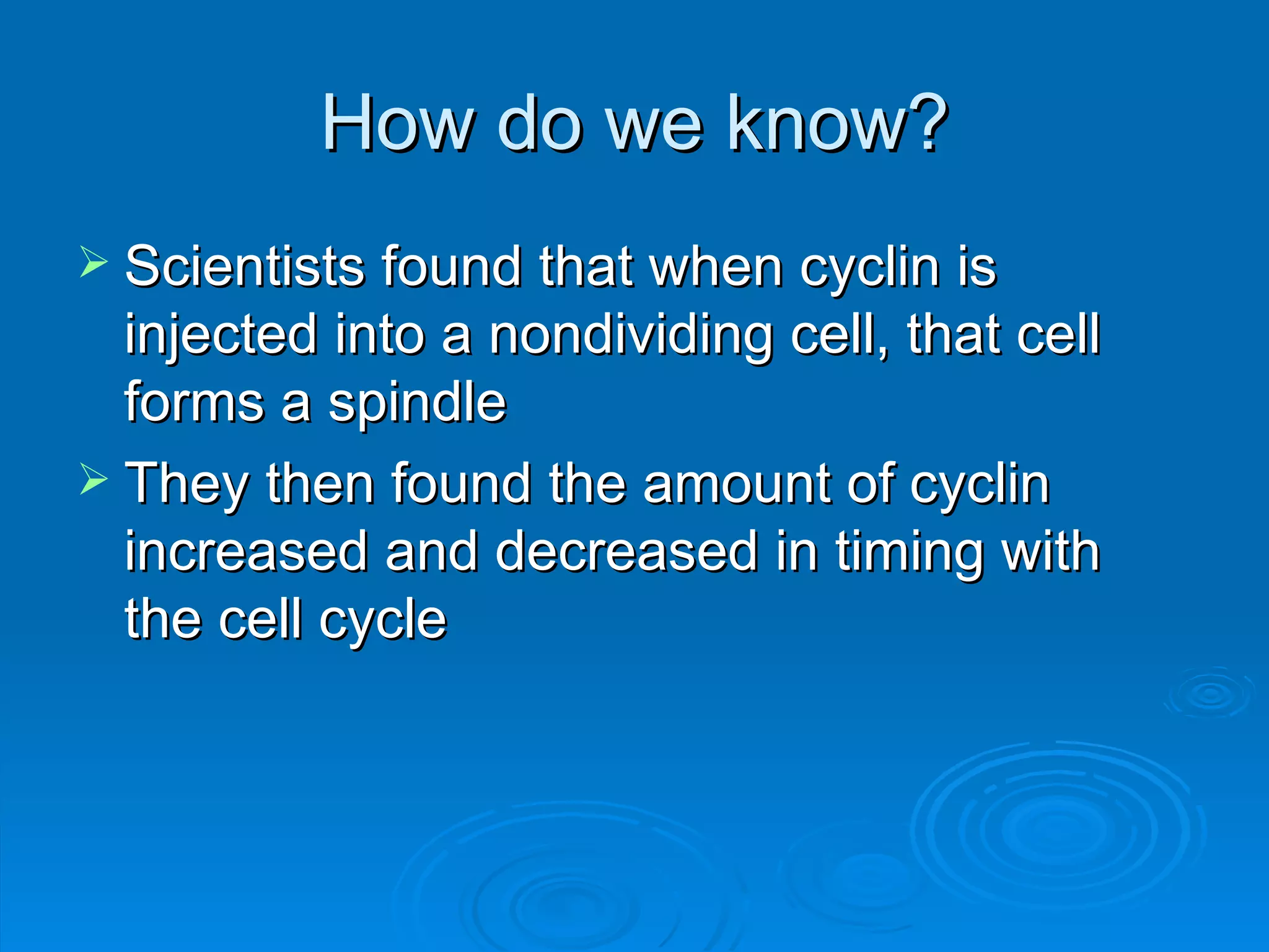 How do we know?
 Scientists found that when cyclin is
  injected into a nondividing cell, that cell
  forms a spindle
 They then found the amount of cyclin
  increased and decreased in timing with
  the cell cycle
 
