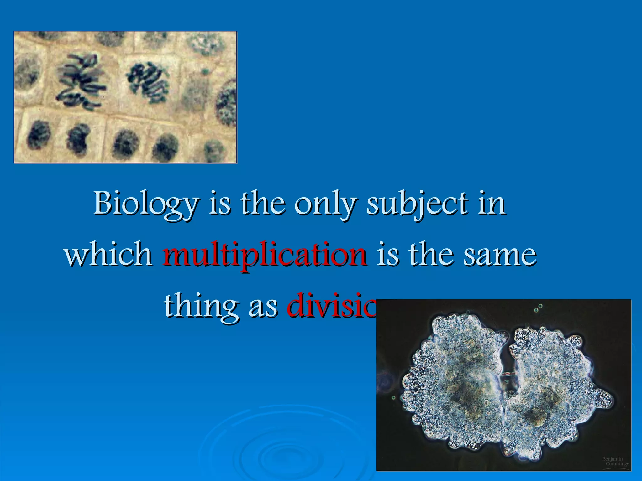 Biology is the only subject in
which multiplication is the same
      thing as division…



                            2006-2007
 
