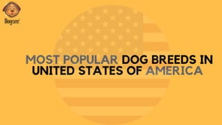 MOST POPULAR DOG BREEDS IN
UNITED STATES OF AMERICA
 