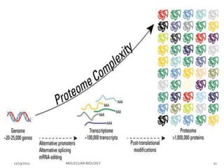 Post-Translational Modifications | PPTX