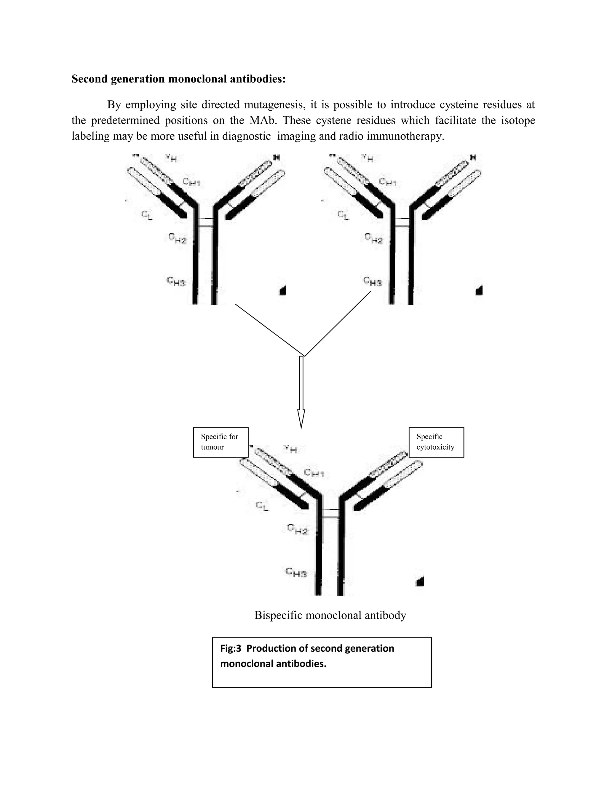 Copy of monoclonal antibodies.doc seminar | DOC