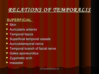 RELATIONS OF TEMPORALISRELATIONS OF TEMPORALIS
SUPERFICIALSUPERFICIAL
 SkinSkin
 Auricularis anteriorAuricularis anterio...