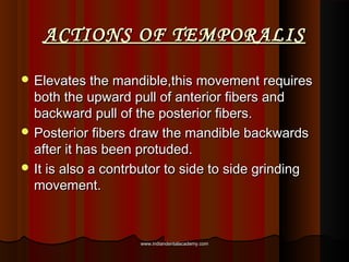 ACTIONS OF TEMPORALISACTIONS OF TEMPORALIS
 Elevates the mandible,this movement requiresElevates the mandible,this moveme...