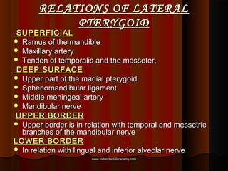 RELATIONS OF LATERALRELATIONS OF LATERAL
PTERYGOIDPTERYGOID
SUPERFICIALSUPERFICIAL
 Ramus of the mandibleRamus of the man...