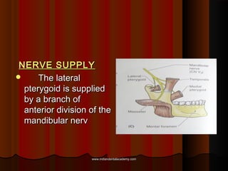NERVE SUPPLYNERVE SUPPLY
 The lateralThe lateral
pterygoid is suppliedpterygoid is supplied
by a branch ofby a branch of
...
