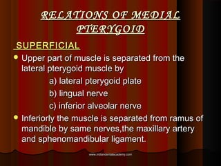 RELATIONS OF MEDIALRELATIONS OF MEDIAL
PTERYGOIDPTERYGOID
SUPERFICIALSUPERFICIAL
 Upper part of muscle is separated from ...