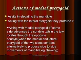 Actions of medial pterygoidActions of medial pterygoid
 Assits in elevating the mandibleAssits in elevating the mandible
...