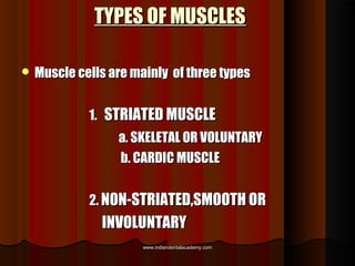 TYPES OF MUSCLESTYPES OF MUSCLES
 Muscle cells are mainly of three typesMuscle cells are mainly of three types
1.1. STRIA...