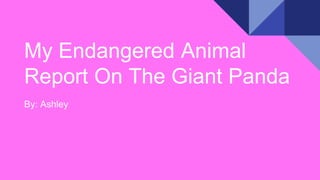 My Endangered Animal
Report On The Giant Panda
By: Ashley
 