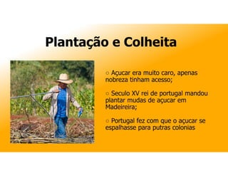 Civilização do Açucar