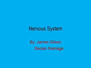 Nervous System By: James Gilson Declan Ramage 