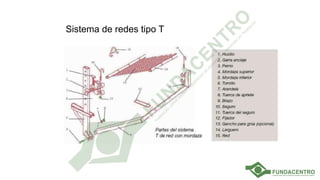 Sistema de redes tipo T
 