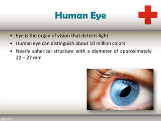 Ophthalmology | PDF