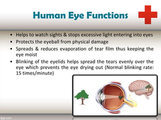 Ophthalmology | PDF