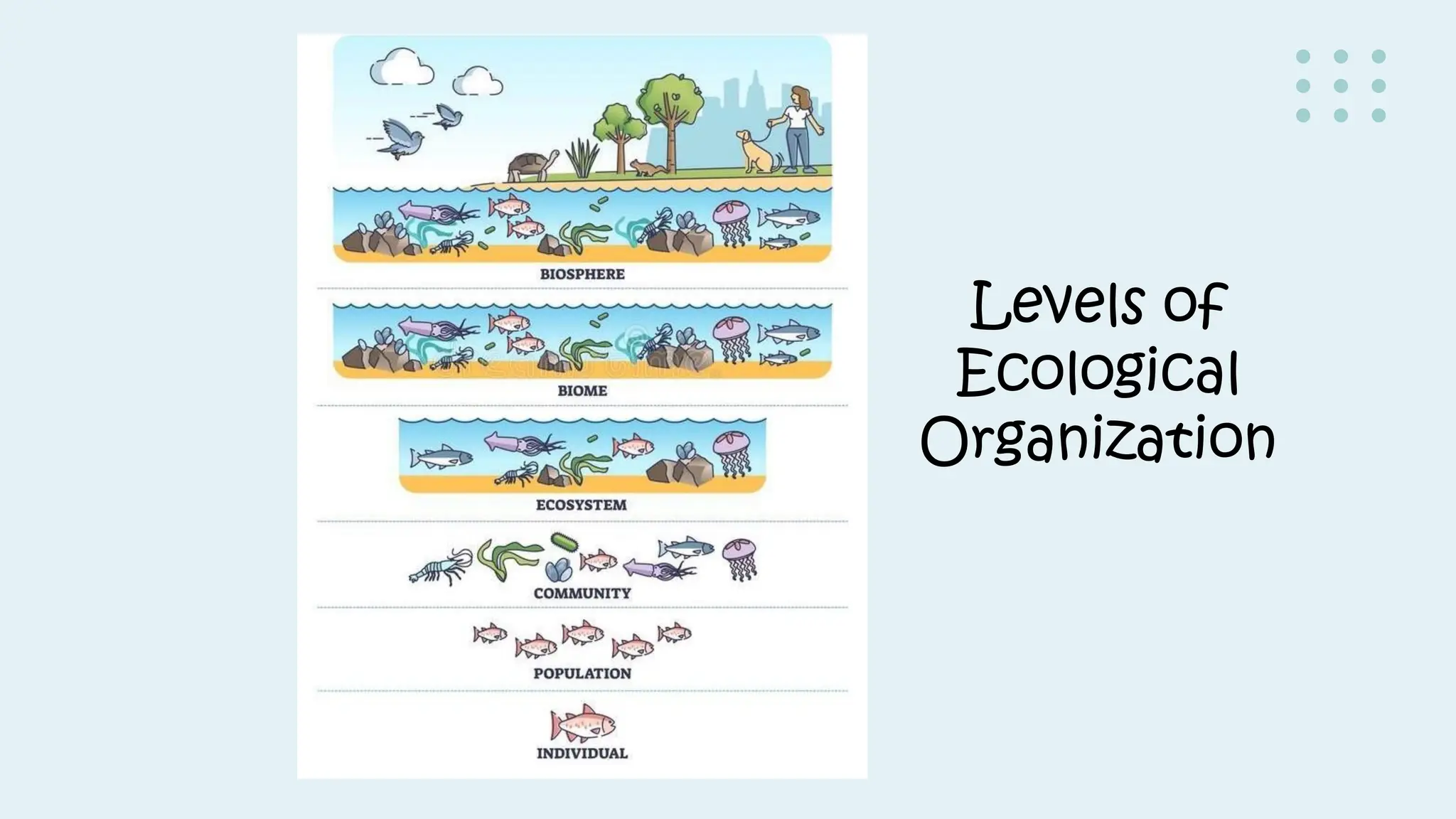 Copy of People and Earth's Ecosystem Modules 1-3.pdf