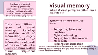 Separate Visual Visual Perception Disorder- short report.pptx