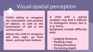 Visual Perception Disorder- short report.pptx