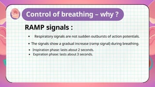 Respiratory Ramp Comprehensive Overview of Respiratory Regulation Mechanisms and ...