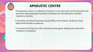 Comprehensive Overview of Respiratory Regulation Mechanisms and ...