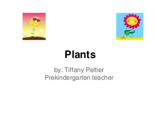 Plants
   by: Tiffany Peltier
Prekindergarten teacher
 