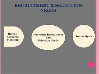 RECRUITMENT & SELECTION
NEEDS
Human
Resource
Planning
Determine Recruitment
and
Selection Needs
Job Analysis
 