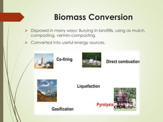 Presentation on Bio-Fuel from Green Solid Waste | PPTX