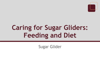 Caring for Sugar Gliders:
    Feeding and Diet
        Sugar Glider
 