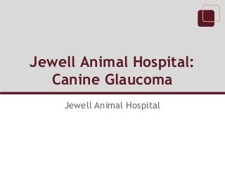 Jewell Animal Hospital:
  Canine Glaucoma
    Jewell Animal Hospital
 