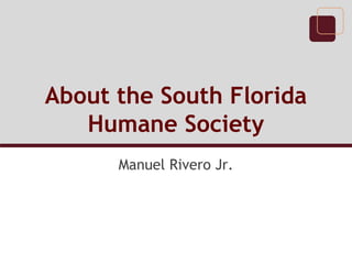 About the South Florida
Humane Society
Manuel Rivero Jr.

 