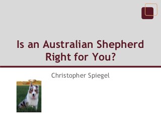 Is an Australian Shepherd
      Right for You?
      Christopher Spiegel
 