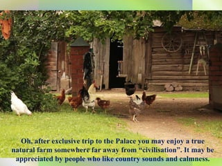 Oh, after exclusive trip to the Palace you may enjoy a true natural farm somewhere far away from “civilisation”. It may be appreciated by people who like country sounds and calmness. 