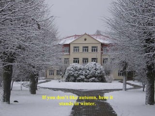 If you don’t like autumn, here it stands in winter. 