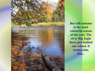 But still autumn is the most colourful season of the year. The river Big Jugla flows just behind our school. It seems calm, but... 