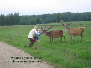 Wouldn’t you enjoy such closeness to the nature? 