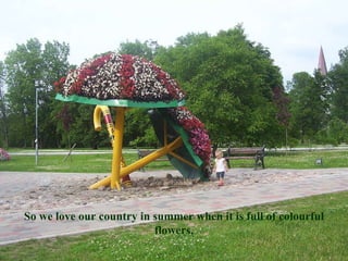 So we love our country in summer when it is full of colourful flowers. 