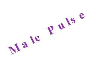 Male Pulse 