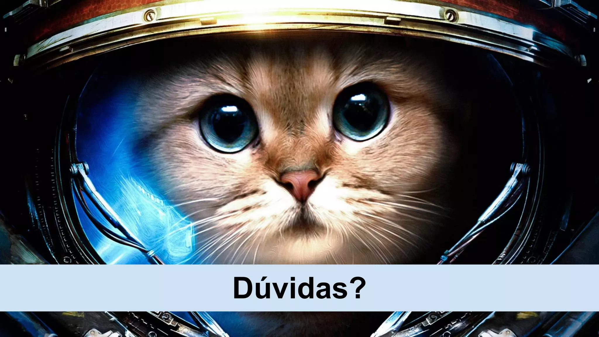 Dúvidas?
 