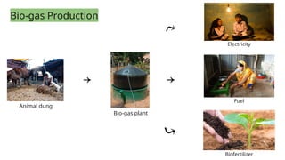 Recycling of Organic Waste and Residue Management | PPTX