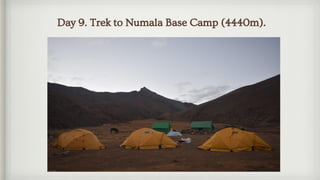 Day 10. Trek To Daigar (4200) through Numala pass (5309m).
 