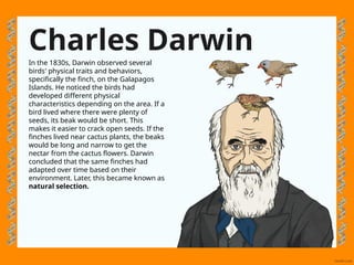 Copy of Seventh Grade Introduction to Genetics PowerPoint & Google ...