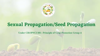 Sexual Propagation Seed Propagation (Version 2) | PDF