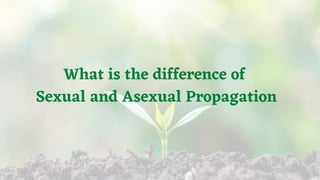 Sexual Propagation Seed Propagation (Version 2) | PDF