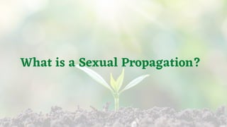Sexual Propagation Seed Propagation (Version 2) | PDF
