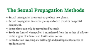 Sexual Propagation Seed Propagation (Version 2) | PDF