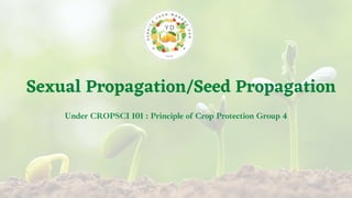 Sexual Propagation/Seed Propagation
Under CROPSCI 101 : Principle of Crop Protection Group 4
 