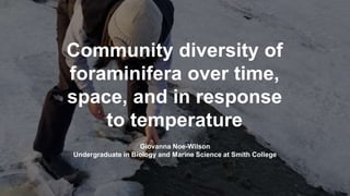 Community diversity of
foraminifera over time,
space, and in response
to temperature
Giovanna Noe-Wilson
Undergraduate in Biology and Marine Science at Smith College
 