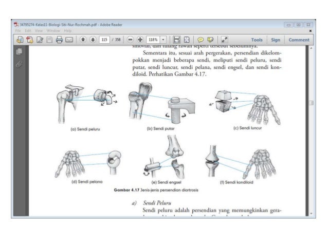 Copy Of Sistem Gerak Manusia