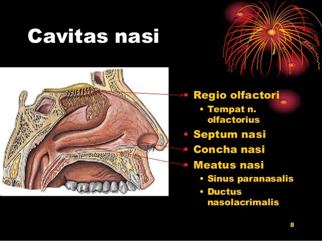 Laporan Pendahuluan Hipertensi Scribd Laporan Pendahuluan Hipertensi Scribd
