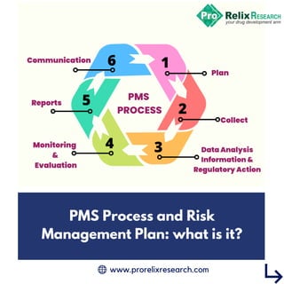www.prorelixresearch.com


PMS Process and Risk
Management Plan: what is it?
 